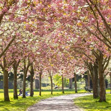 Herbert Park Hotel&park