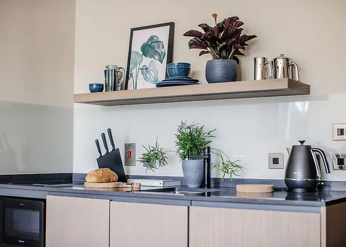 酒店 Herbert Park And Park 4*