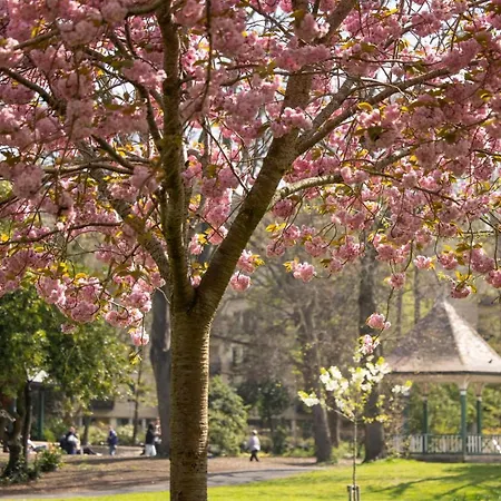 Herbert Park Hotel&park 4* Dublin