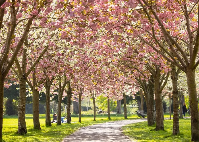 Herbert Park And Park