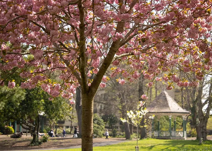 Herbert Park And Park 4* Dublino